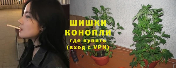 амф Новокубанск