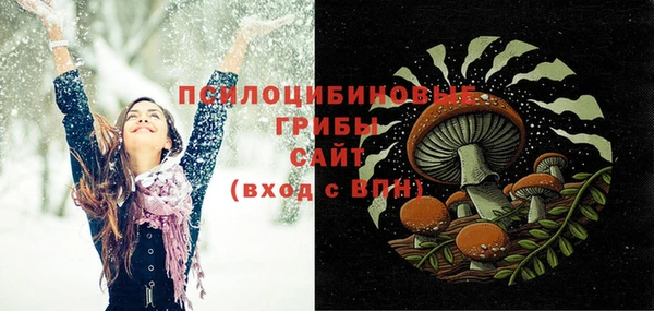 соль курить ск Новозыбков