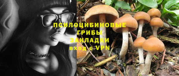 соль курить ск Новозыбков