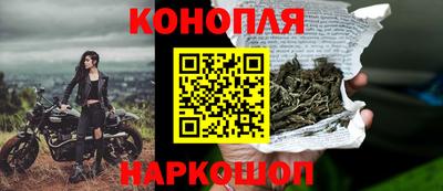 гидра Бийск