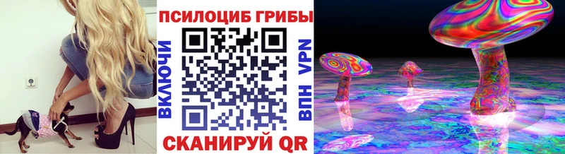 Галлюциногенные грибы мицелий  ОМГ ОМГ как зайти  Новотроицк 