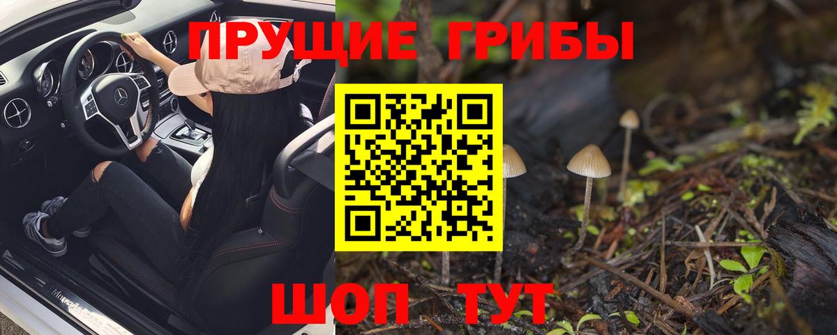 Галлюциногенные грибы мицелий Новотроицк